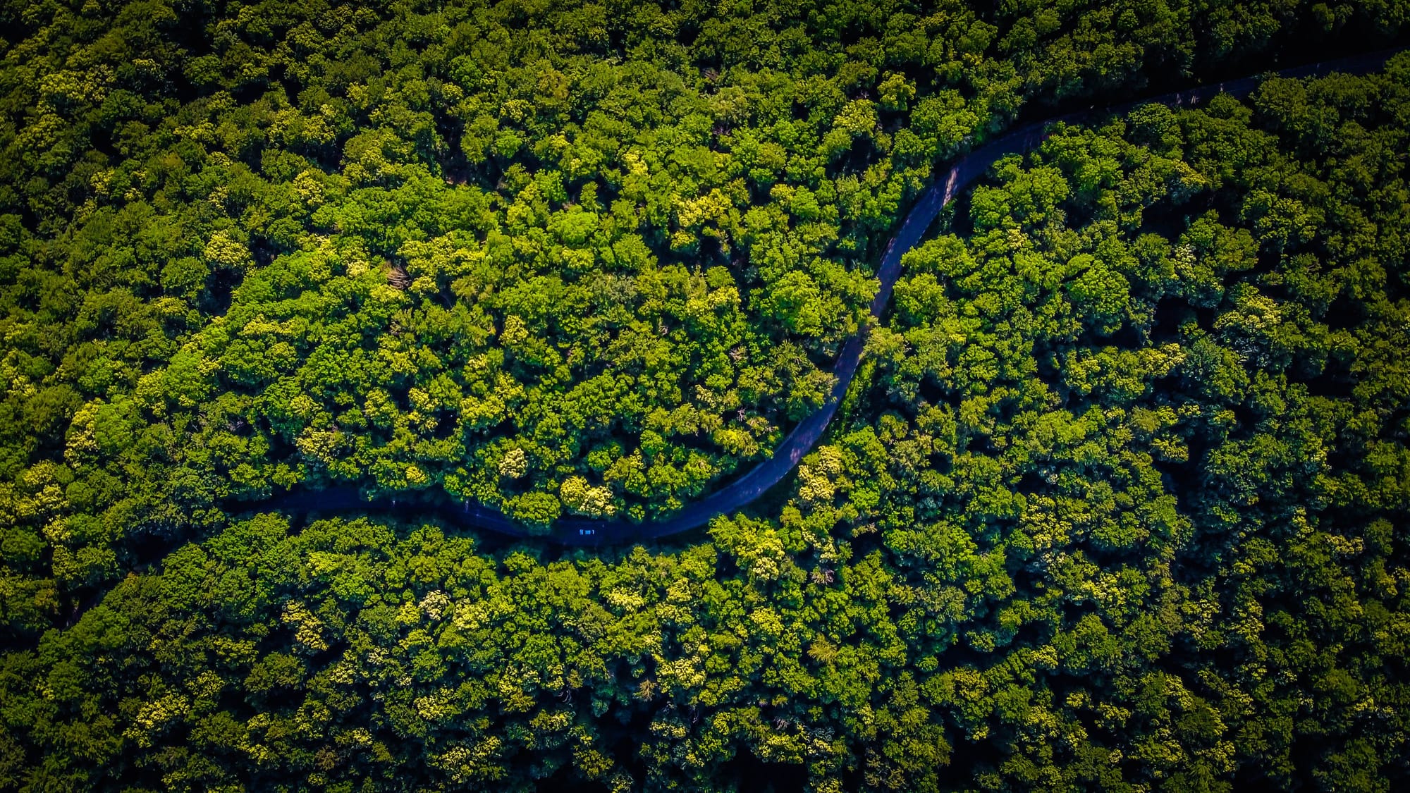 Blog da Amaztrace | Tecnologia, Rastreabilidade e Sustentabilidade na Amazônia