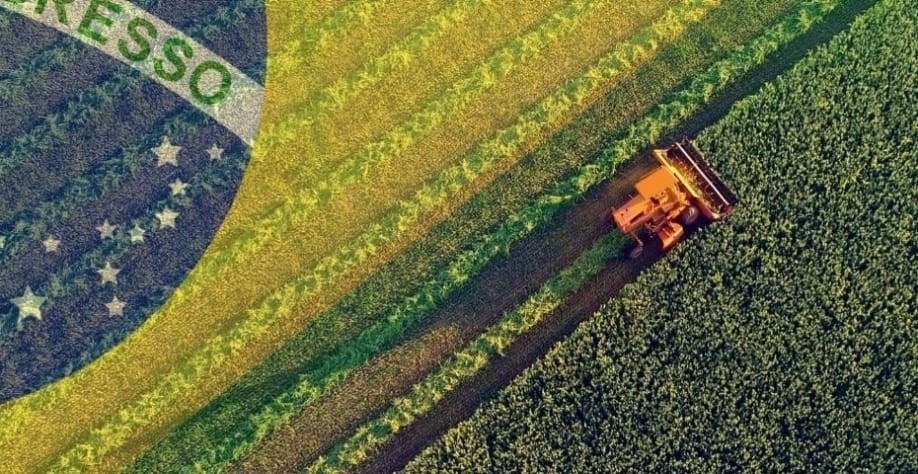 Crescimento recorde no agro  Brasileiro em 2024/2025: Transparência virou a nova fronteira