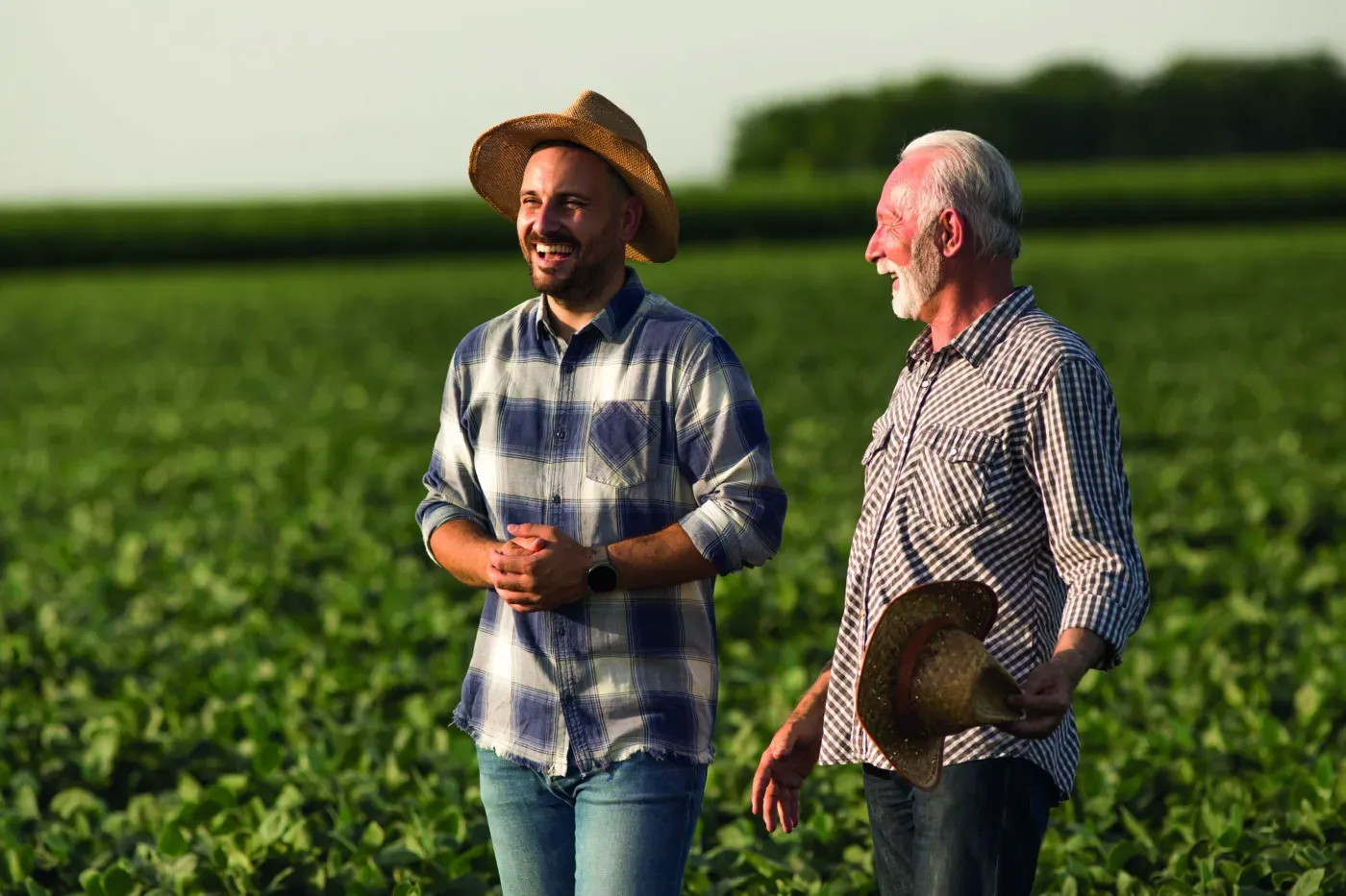 Agro brasileiro dispara em inovação: por que a tecnologia não é mais opcional no campo