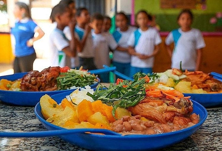 Agricultura familiar e o novo PNAE: rastreabilidade será chave para acessar os recursos da merenda escolar